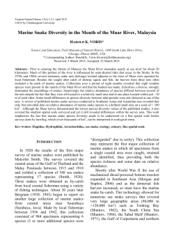 Marine Snake Diversity in the Mouth of the Muar River, Malaysia
