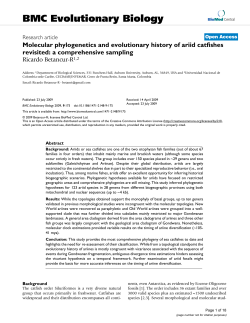 Molecular phylogenetics and evolutionary history of ariid catfishes