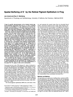 Spatial Buffering of K+ by the Retinal Pigment Epithelium in Frog