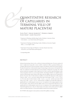 QUANTITATIVE RESEARCH OF CAPILLARIES IN TERMINAL VILLI