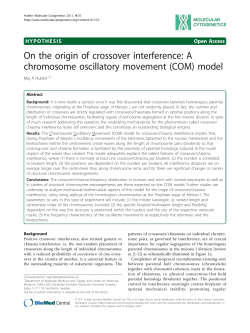 A chromosome oscillatory movement (COM) model