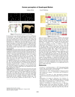 Human perception of quadruped motion