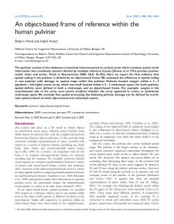 An object-based frame of reference within the