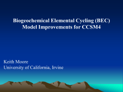 Biogeochemical Elemental Cycling (BEC) Model Improvements for