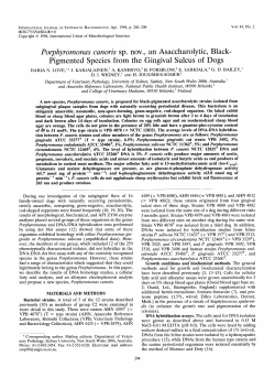Porphyromonas canoris sp. nov., an Asaccharolytic, Black