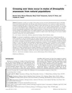 Crossing over does occur in males of Drosophila ananassae from