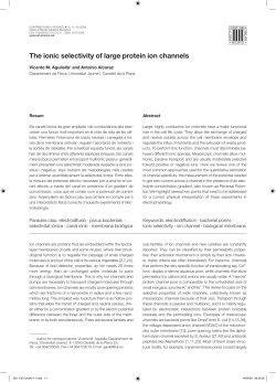 The ionic selectivity of large protein ion channels