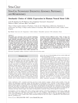 Stochastic Choice of Allelic Expression in Human Neural Stem Cells