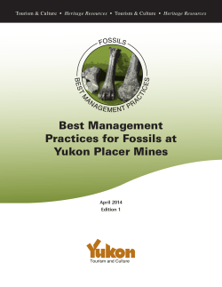 Best Management Practices for Fossils at Yukon Placer Mines