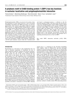 A polybasic motif in ErbB3-binding protein 1 (EBP1) has key