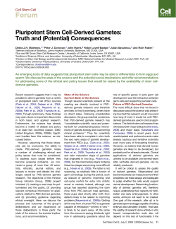 Pluripotent Stem Cell-Derived Gametes: Truth and (Potential