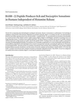 BAM8 &ndash;22 Peptide Produces Itch and Nociceptive Sensations in