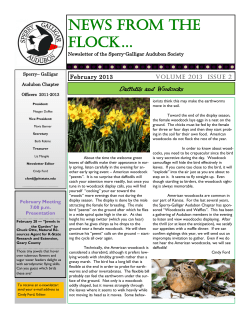 NEWS FROM THE flock&hellip; - Sperry