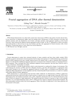 Fractal aggregation of DNA after thermal denaturation