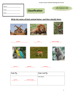 3classification_ANSWER