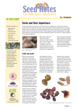 Seeds and their importance