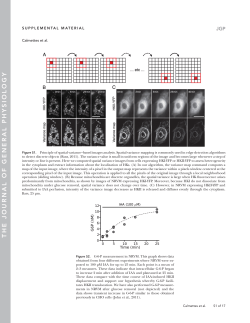 Supplemental material