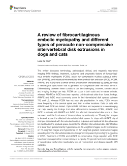 A review of fibrocartilaginous embolic myelopathy and different