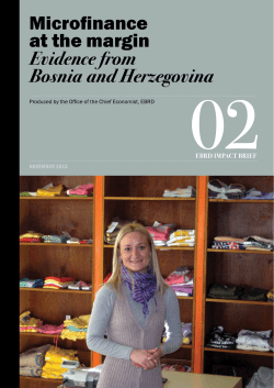 Microfinance at the margin Evidence from Bosnia and Herzegovina