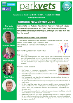 Autumn 2016