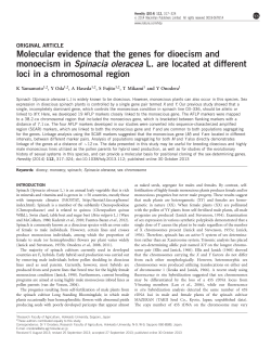 Molecular evidence that the genes for dioecism and