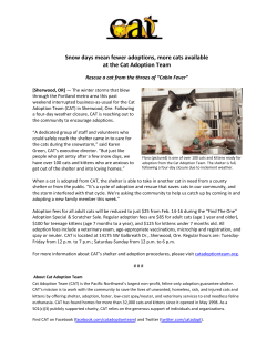Snow days mean fewer adoptions, more cats available at the Cat