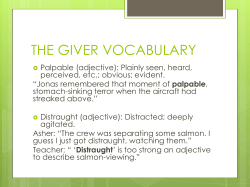 the giver vocabulary
