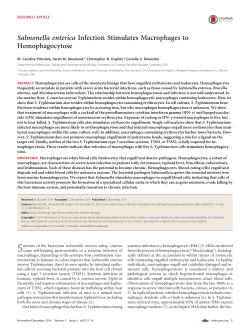 Salmonella Hemophagocytes Detweiler