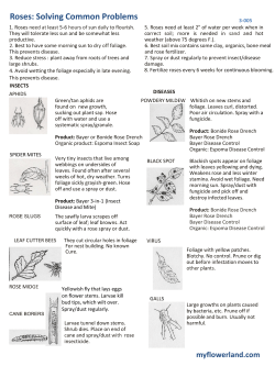 Roses: Solving Common Problems