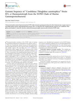 Genome Sequence of &ldquo;Candidatus Thioglobus autotrophica&rdquo; Strain