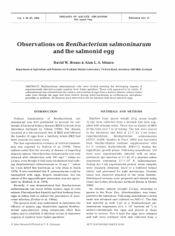 Observations on Renibacterium salmoninarum and the salmonid egg