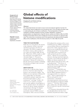 Global effects of histone modifications
