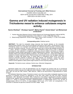 Gamma and UV radiation induced mutagenesis in Trichoderma