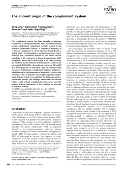 EMBO EMBO EMBO - The Horseshoe Crab