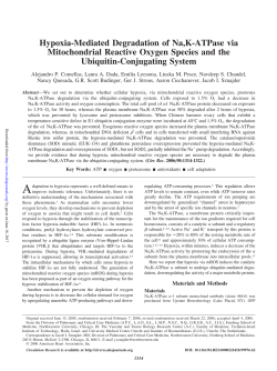 Hypoxia-Mediated Degradation of Na,K
