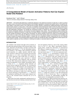 A Computational Model of Dynein Activation Patterns that Can