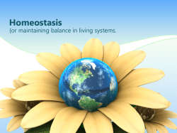 Homeostasis