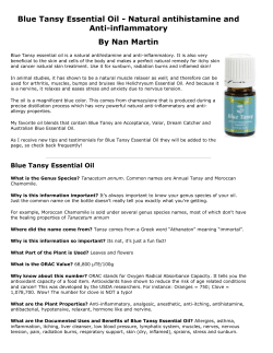 Blue Tansy Essential Oil - Young Living Essential Oils Team Training