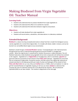 Making Biodiesel - Virgin Oil