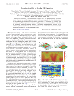Streaming Instability in Growing Cell Populations