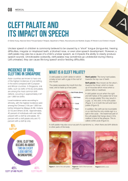 cleft palate and its impact on speech