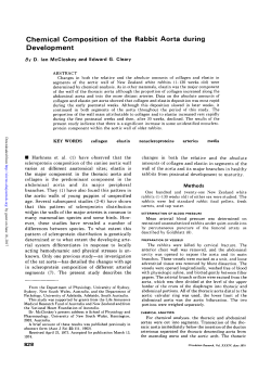 Chemical Composition of the Rabbit Aorta during Development