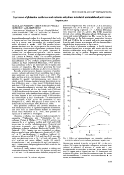 Expression of glutamine synthetase and carbonic anhydrase in