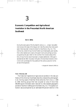 2005 Economic Competition and Agricultural Involution in the