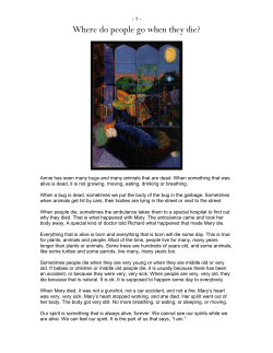 Annie has seen many bugs and many animals that are dead