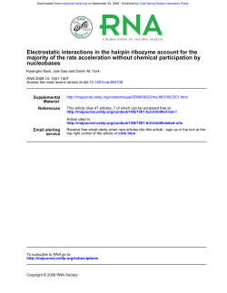 nucleobases majority of the rate acceleration without chemical
