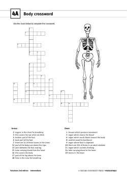 Body crossword - WordPress.com