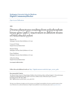 Diverse phenotypes resulting from polyphosphate kinase gene (ppk1)