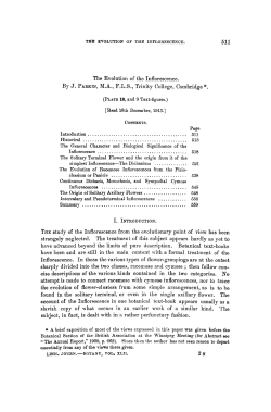 The Evolution of the Inflorescence.