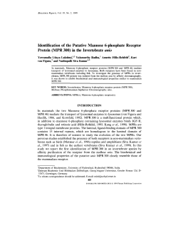 Identification of the Putative Mannose 6